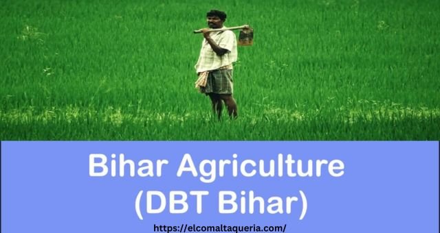 DBT Bihar