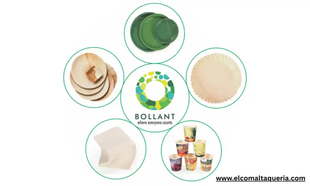 Bollant Industries Net Worth