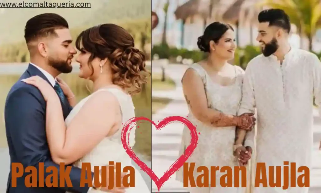 Palak Aujla Husband 