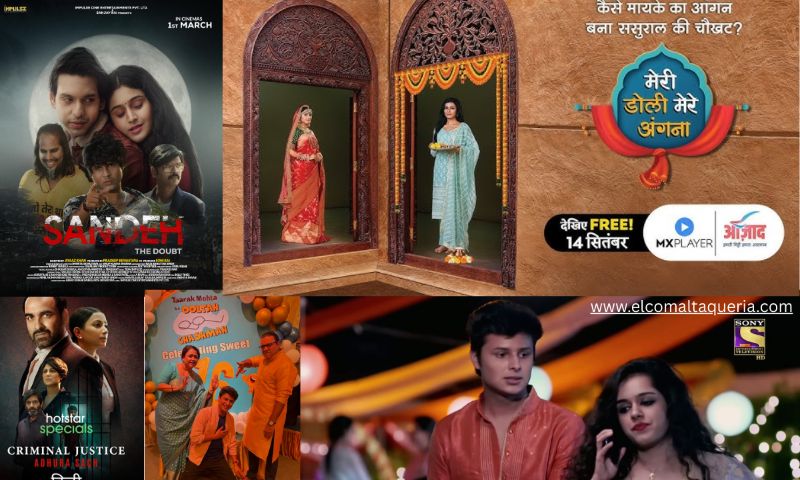 TV Shows & Projects with Nitish Bhaluni