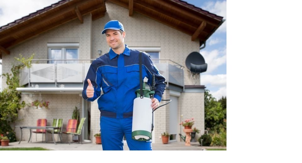Protecting Your Home from Pest Damage